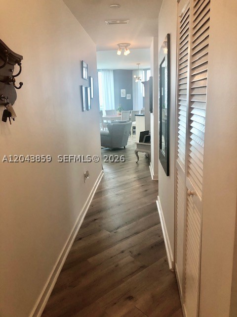 Miami photo 5