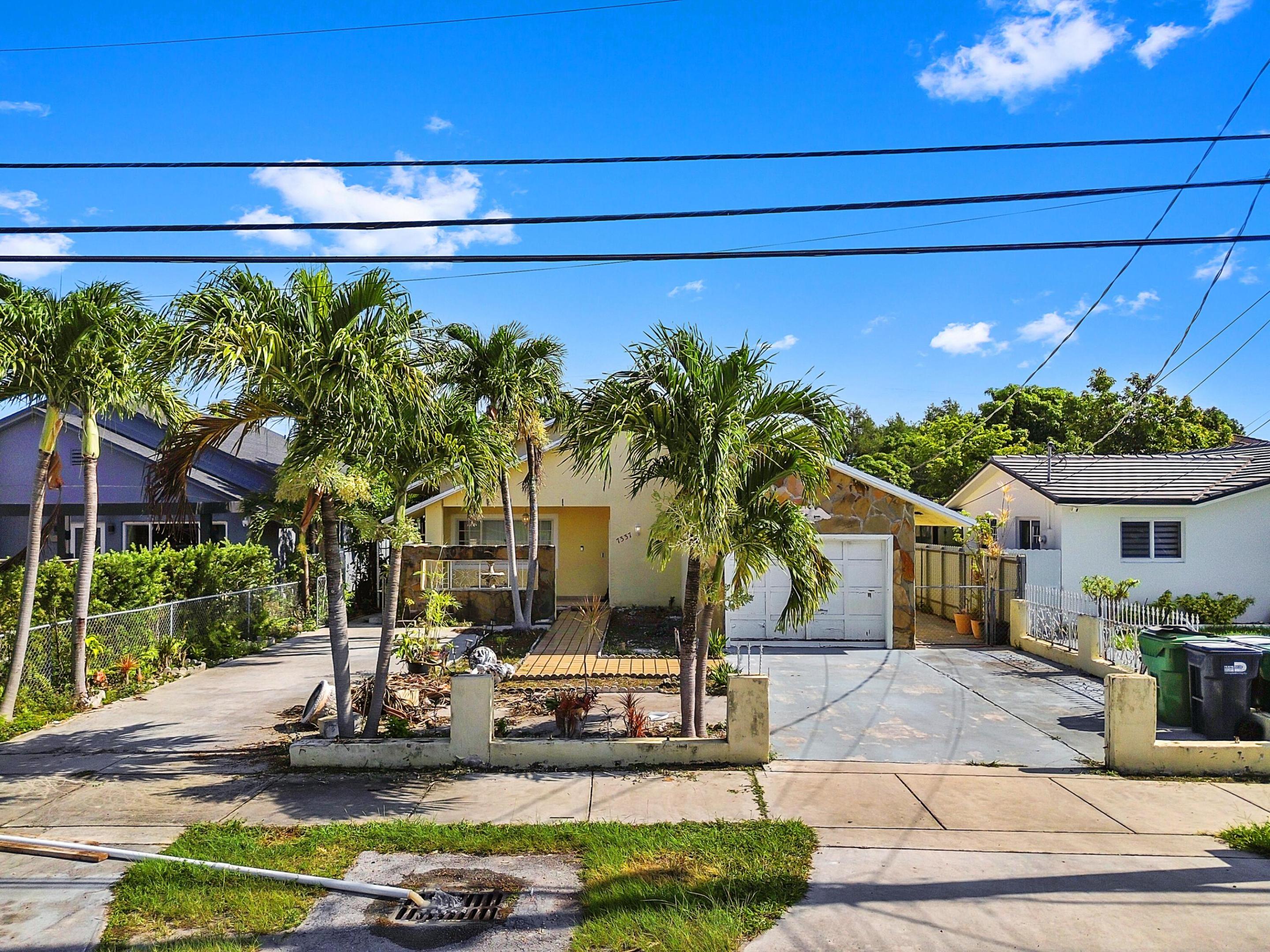 Miami photo 3