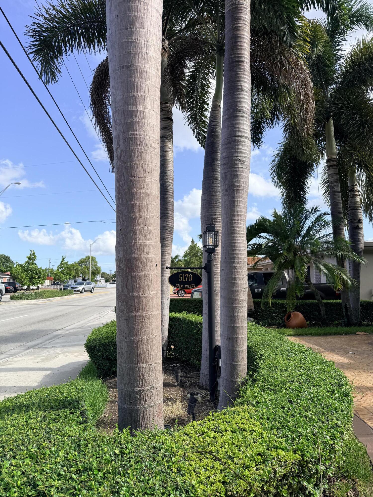 Hialeah photo 2