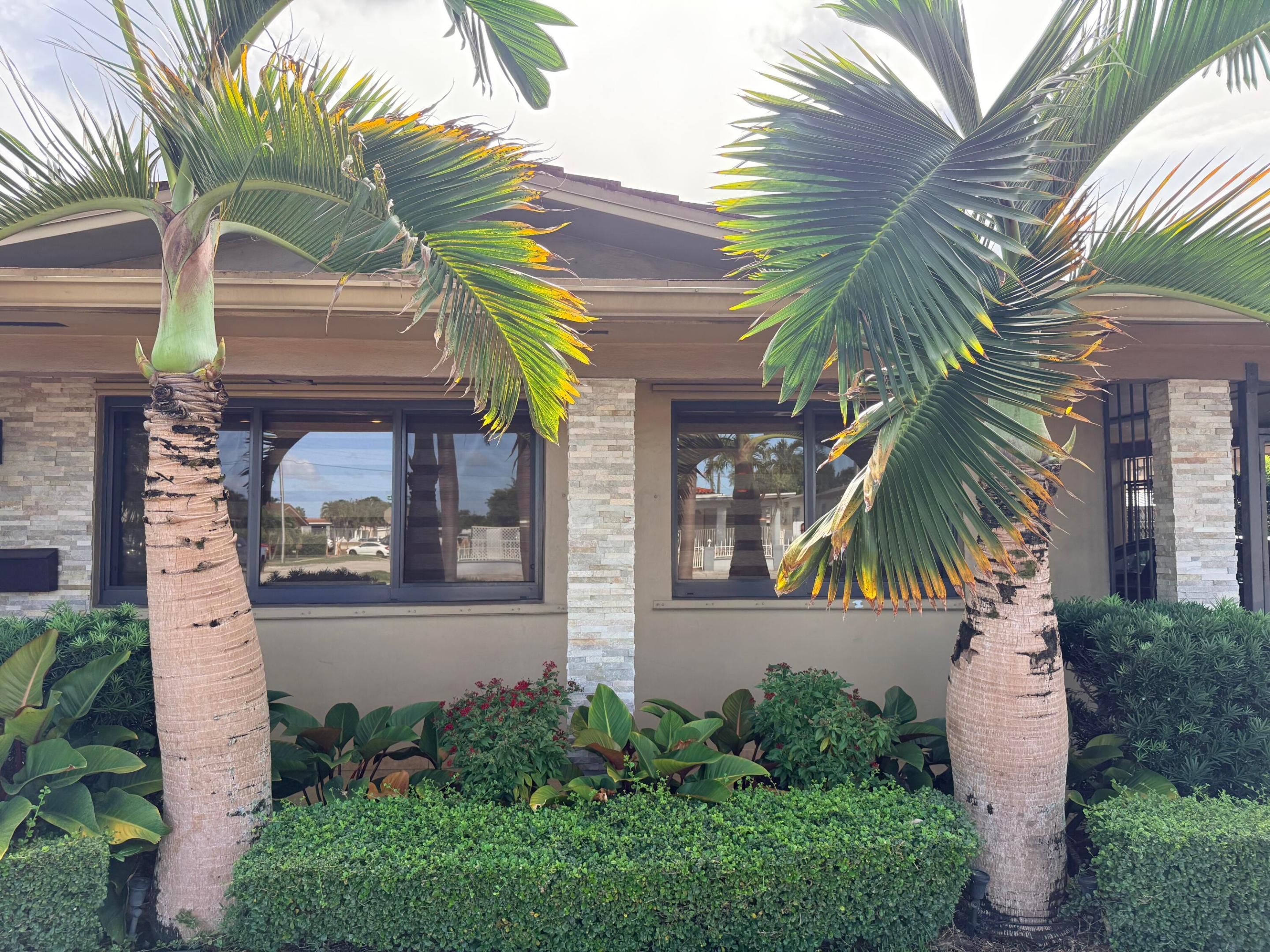 Hialeah photo 4