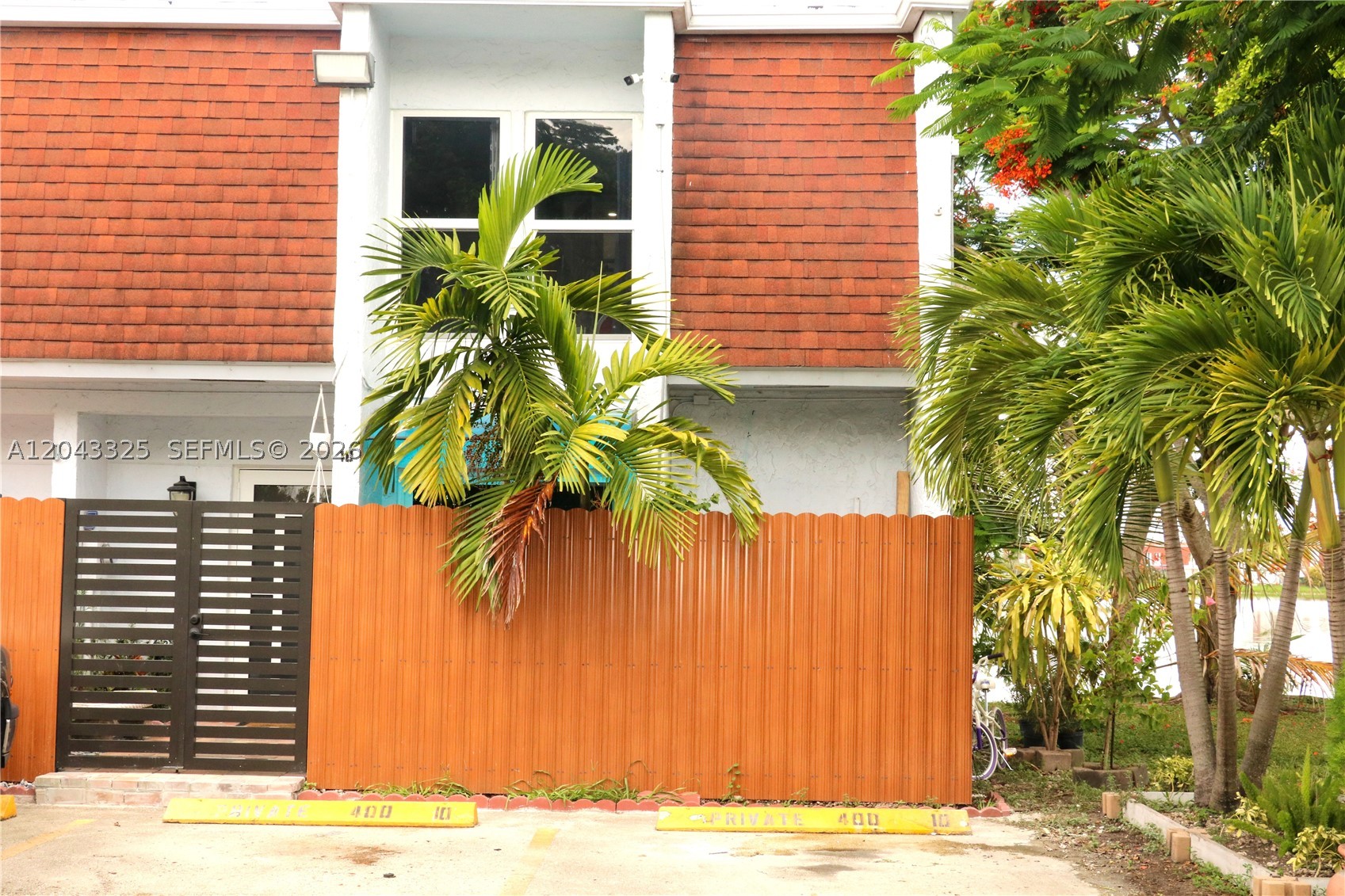 Miami photo 1