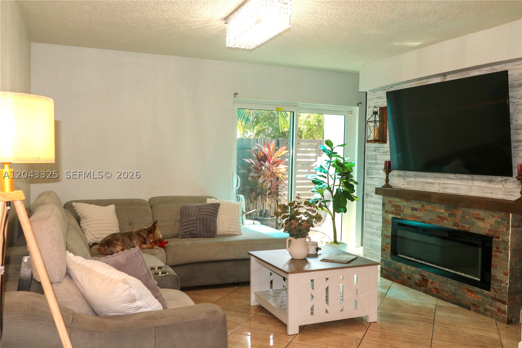 Miami photo 4