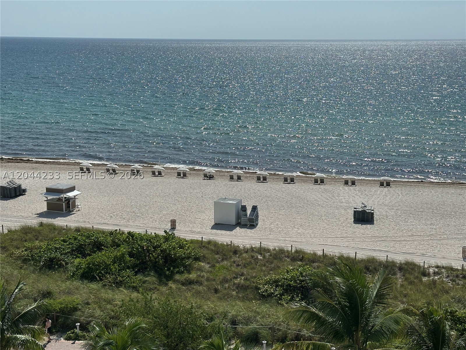 Miami Beach photo 5