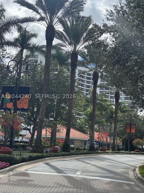 Aventura photo 3
