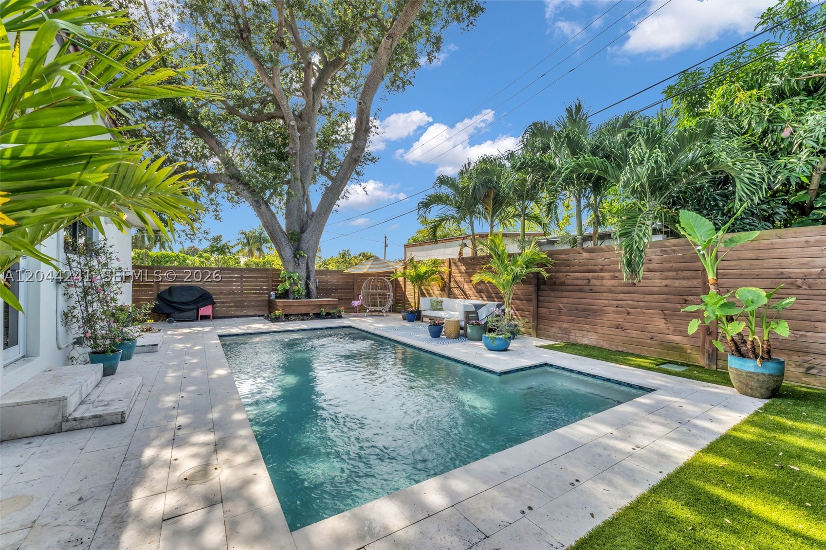 Miami photo 5