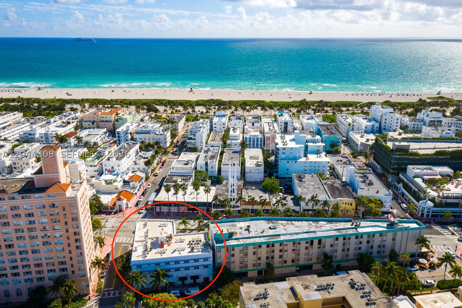 Miami Beach photo 3