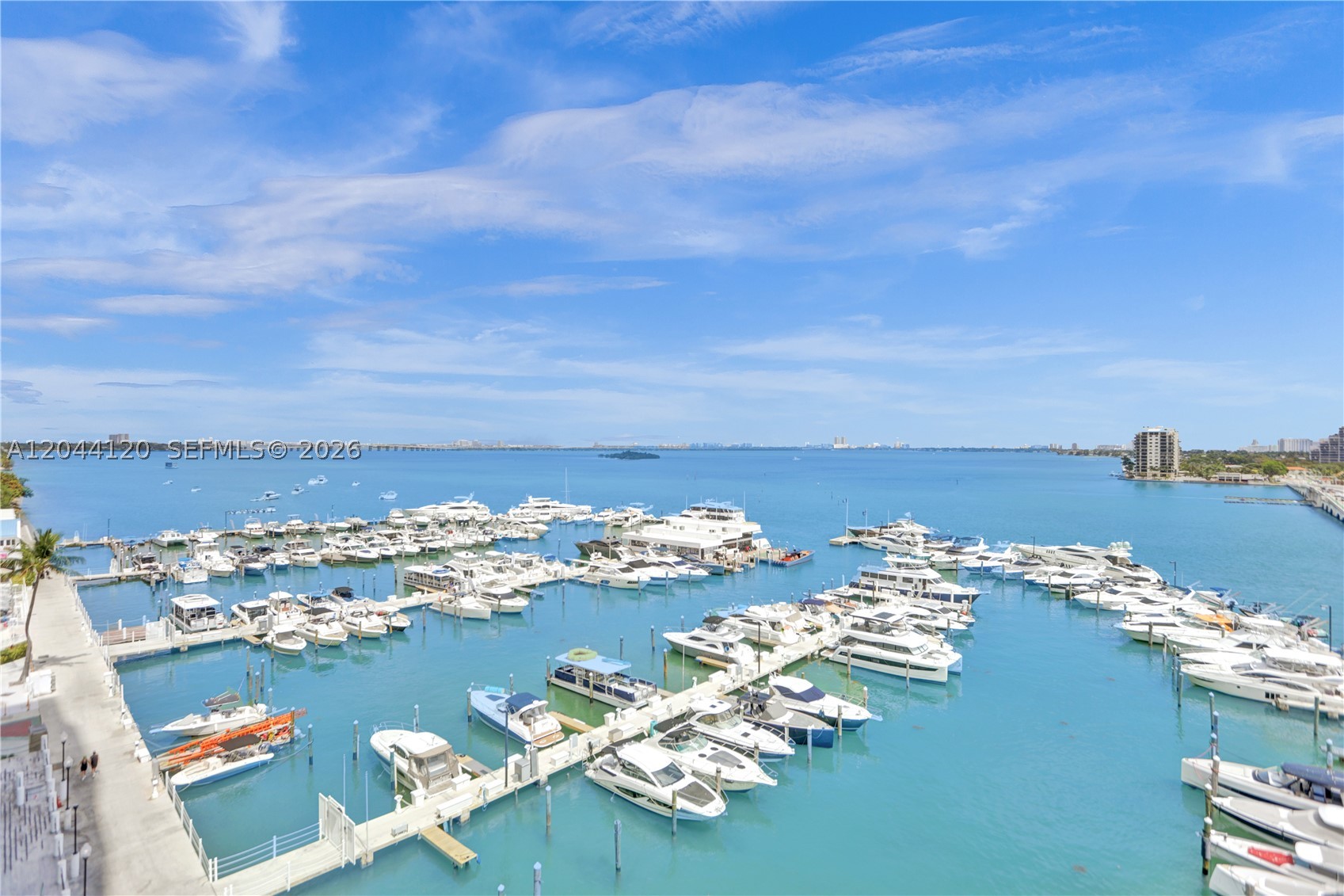 Miami photo 1