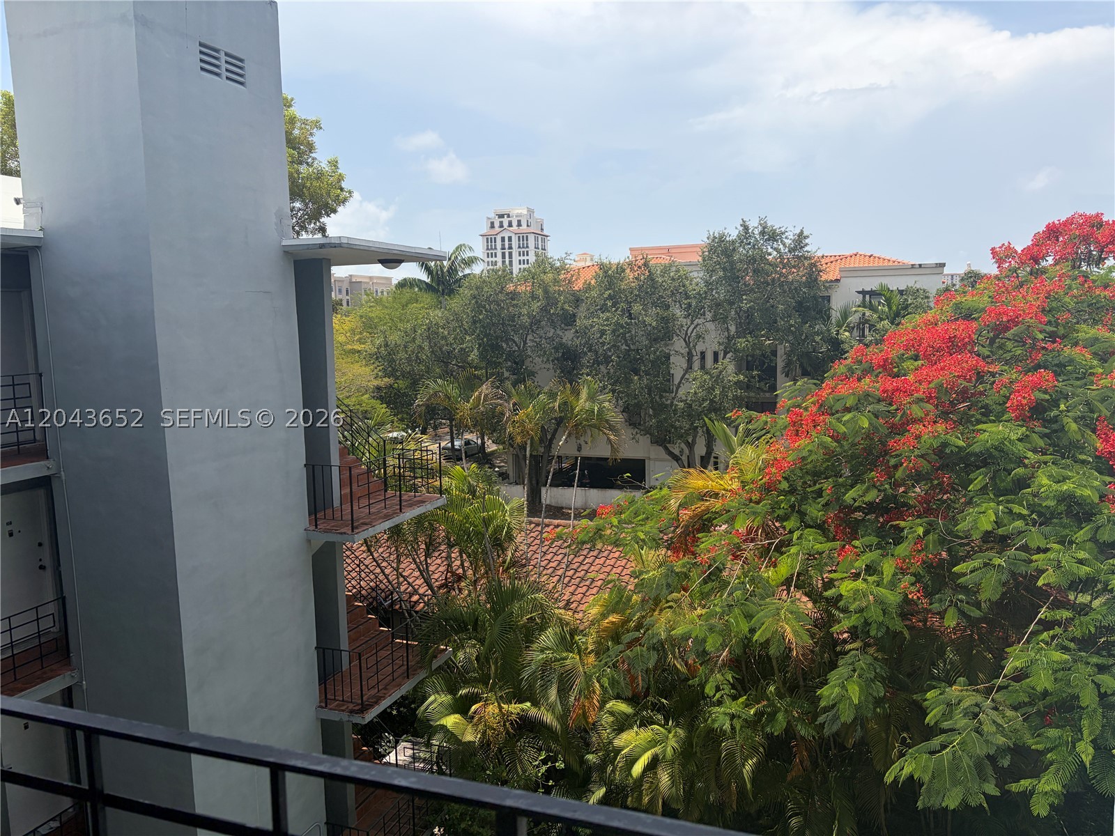 Coral Gables photo 2