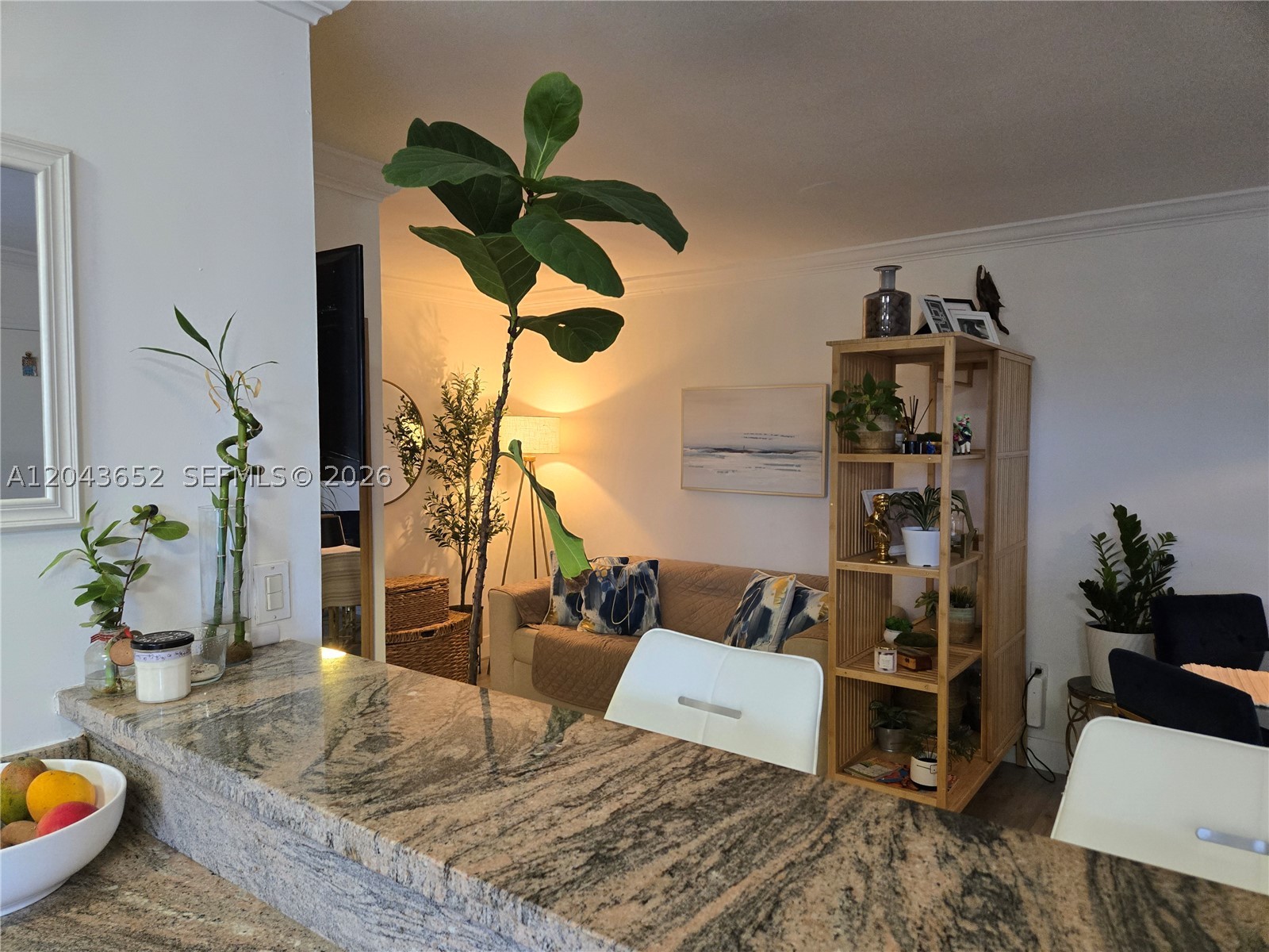 Coral Gables photo 5