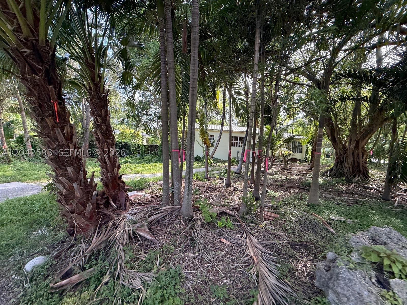 South Miami