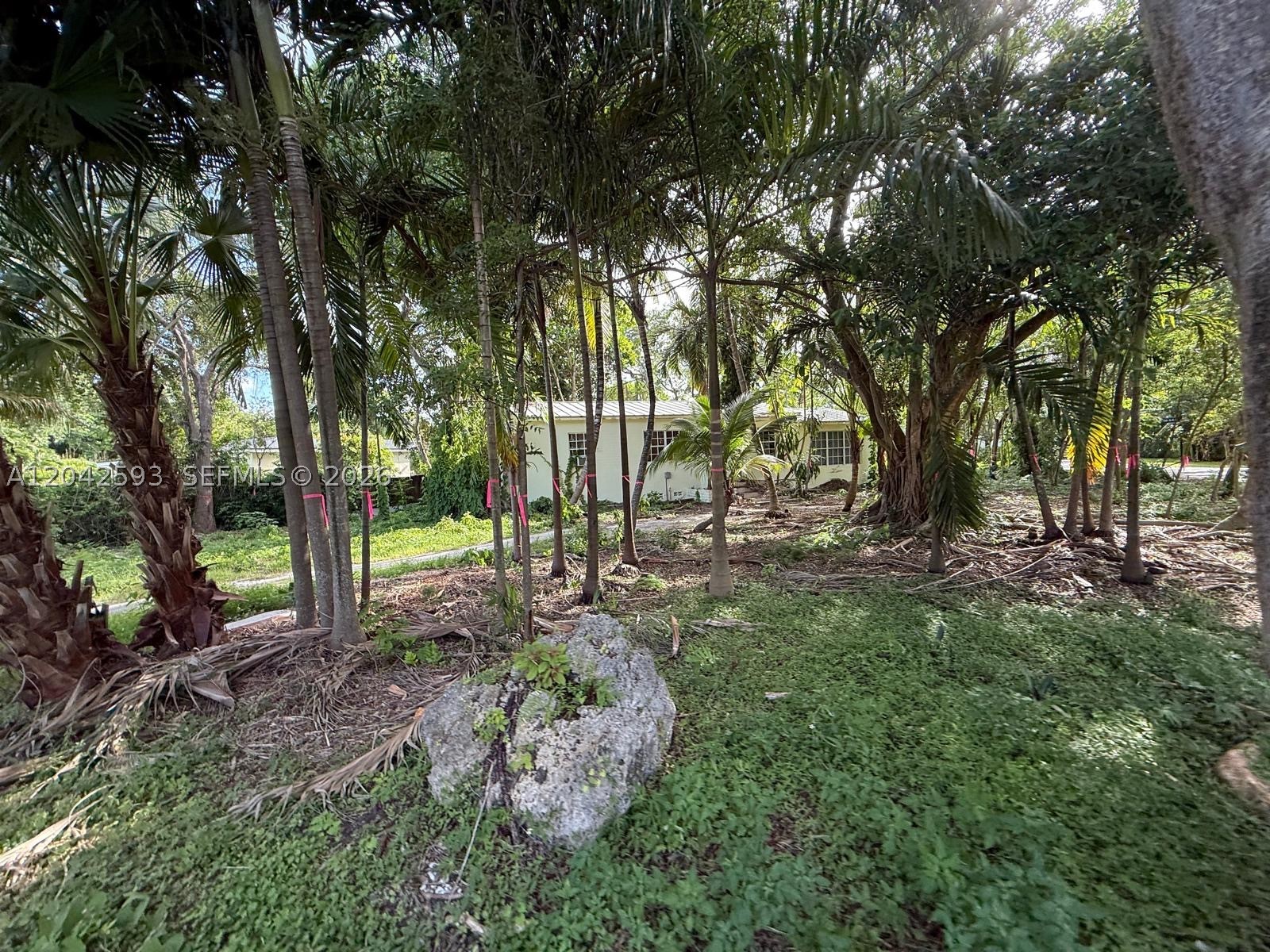 South Miami photo 2