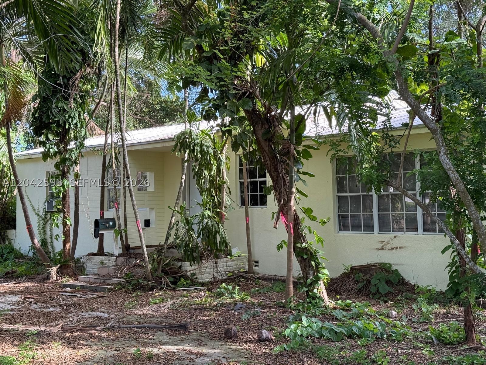 South Miami photo 3