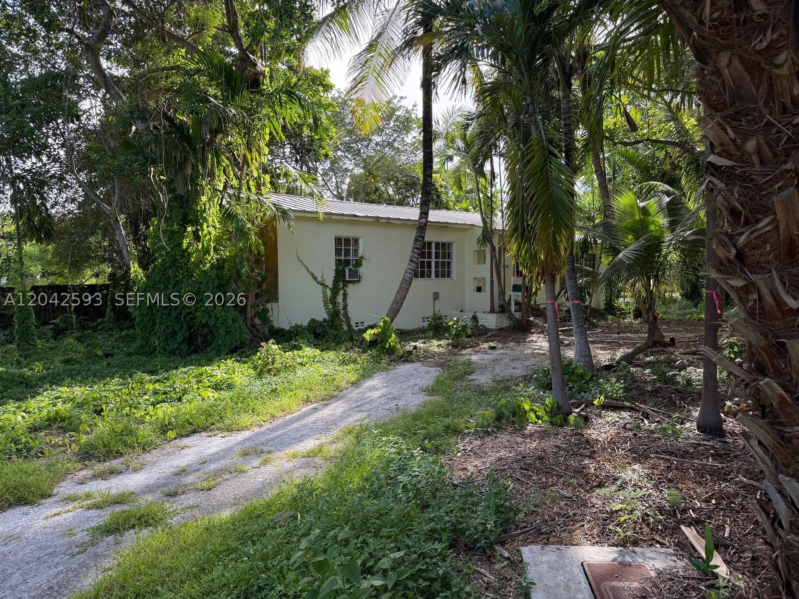 South Miami photo 4