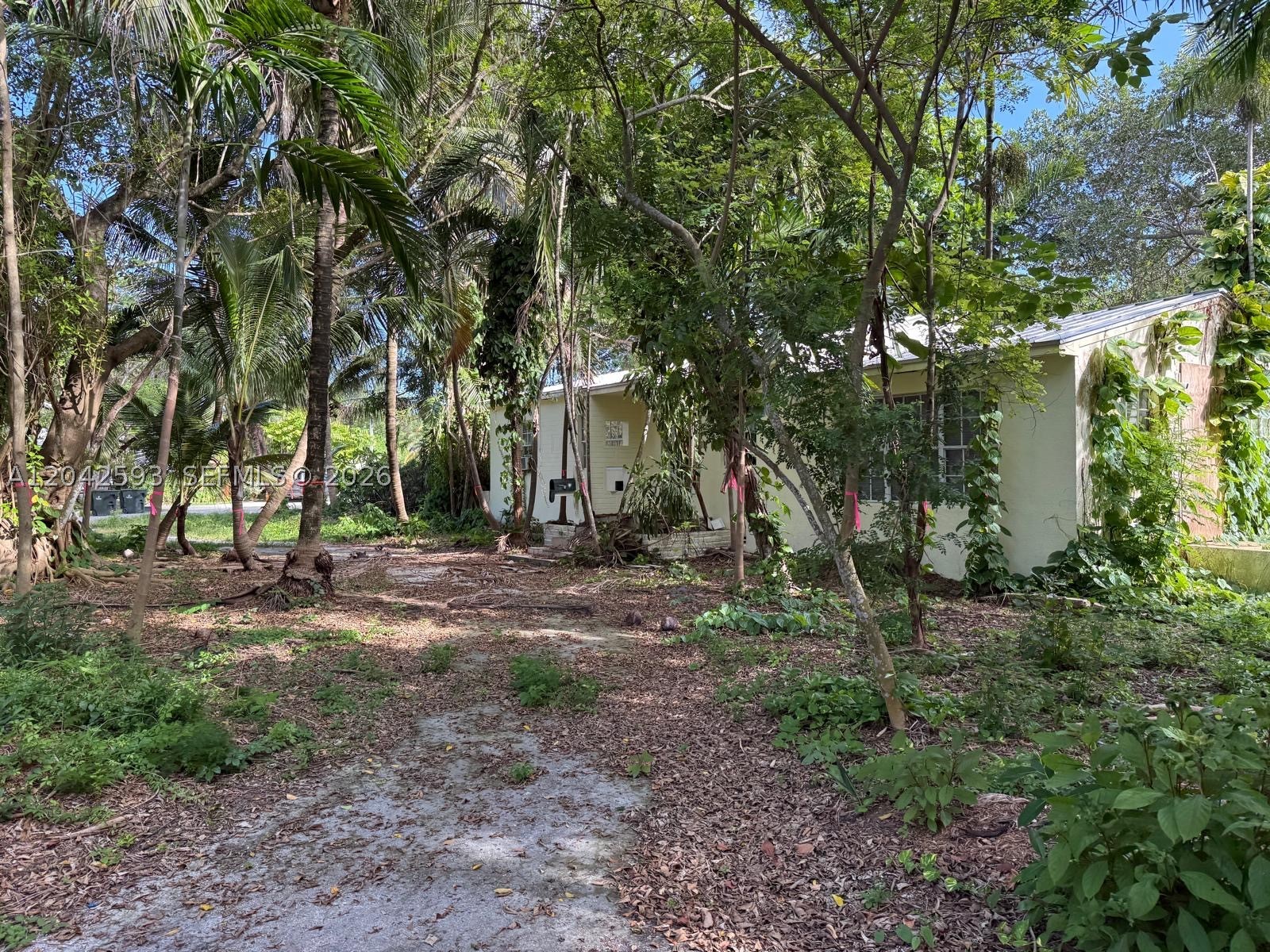 South Miami photo 5