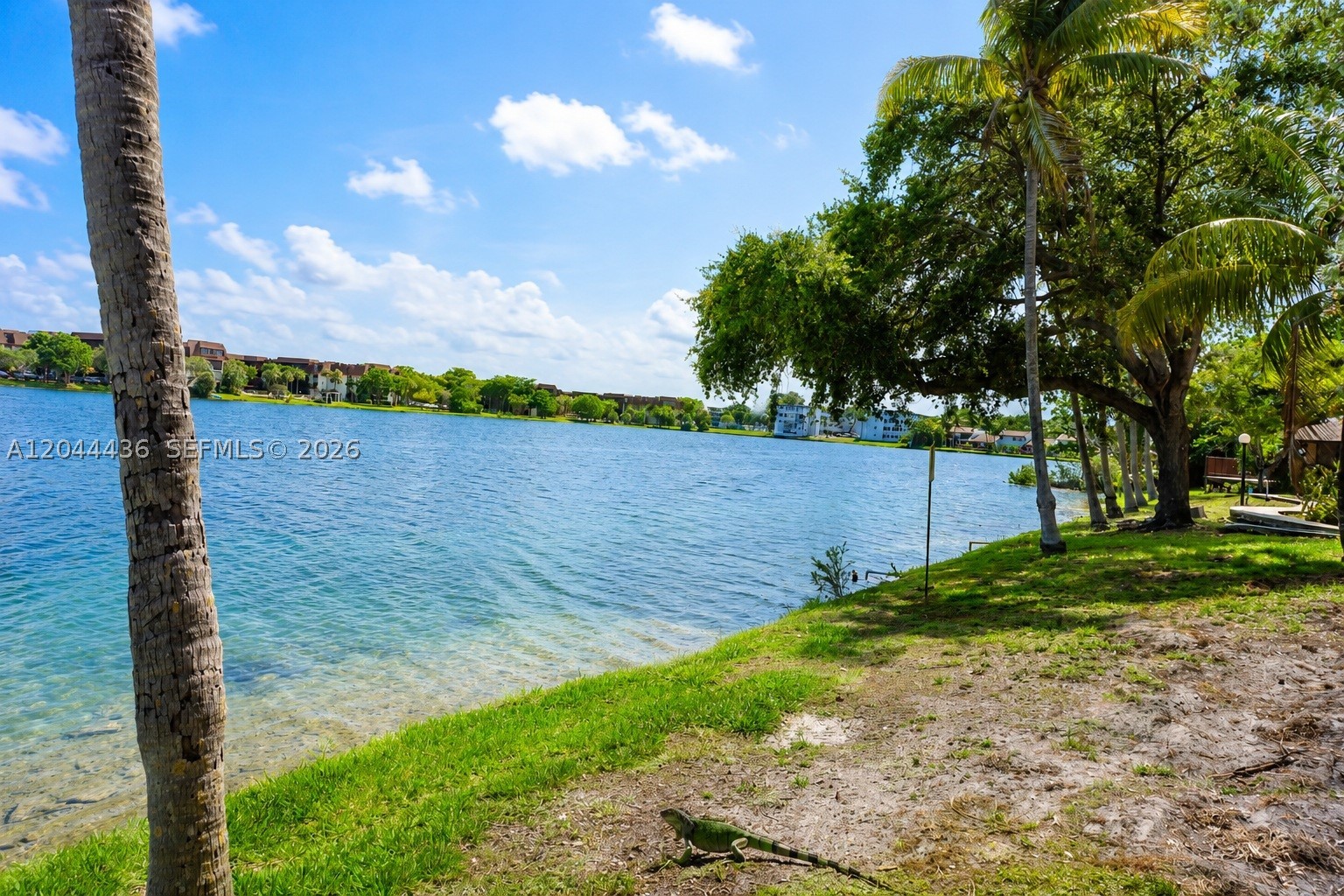 Miami photo 3