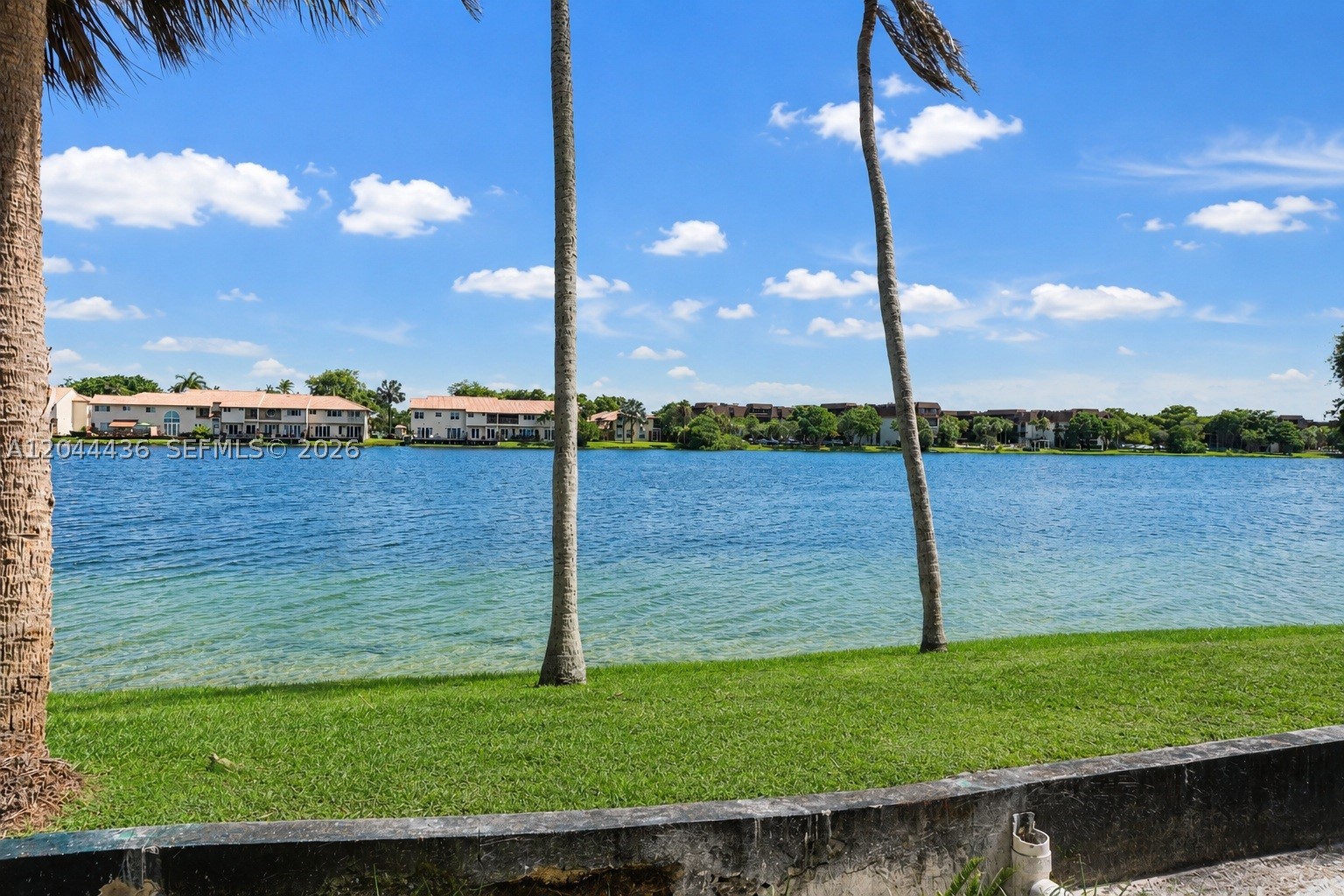 Miami photo 4
