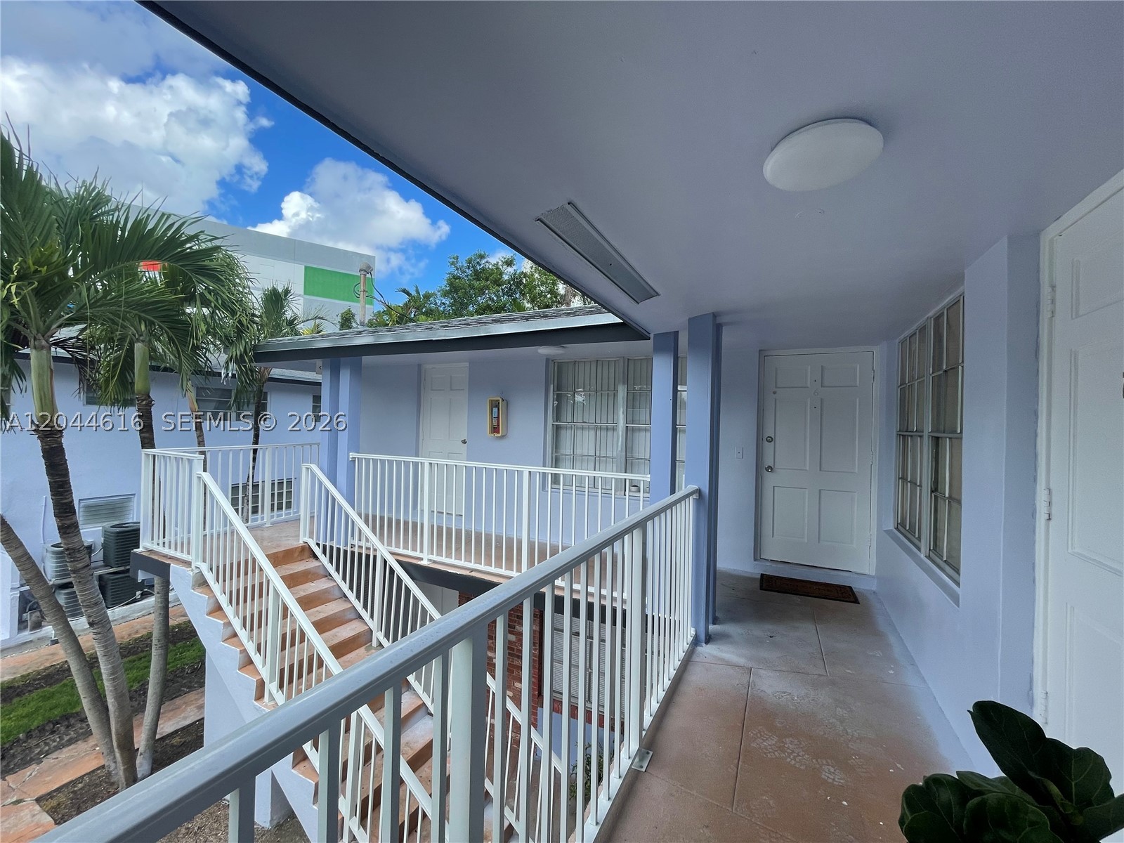Miami photo 2