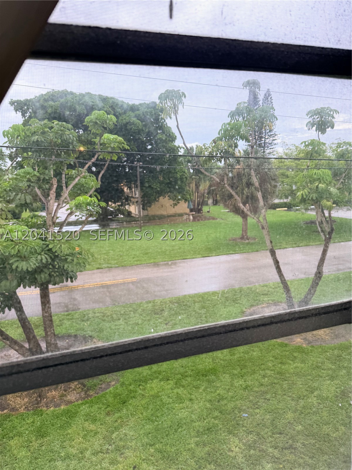 Aventura photo 4
