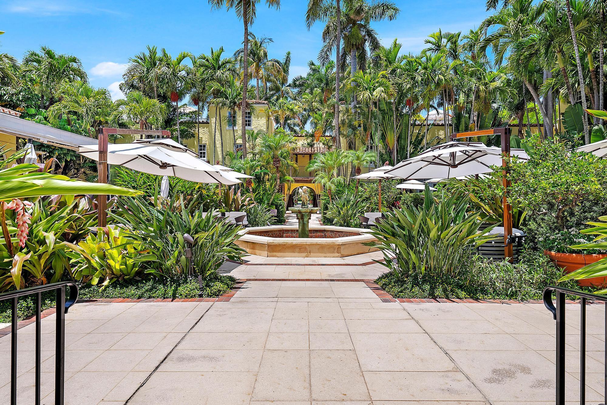 Palm Beach photo 4