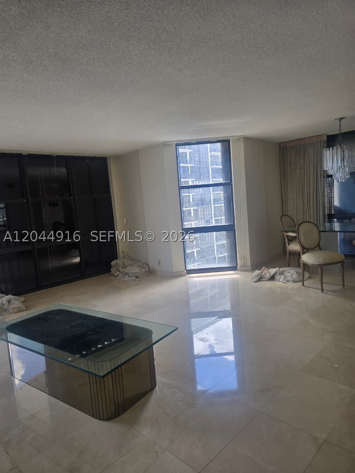 Miami photo 4
