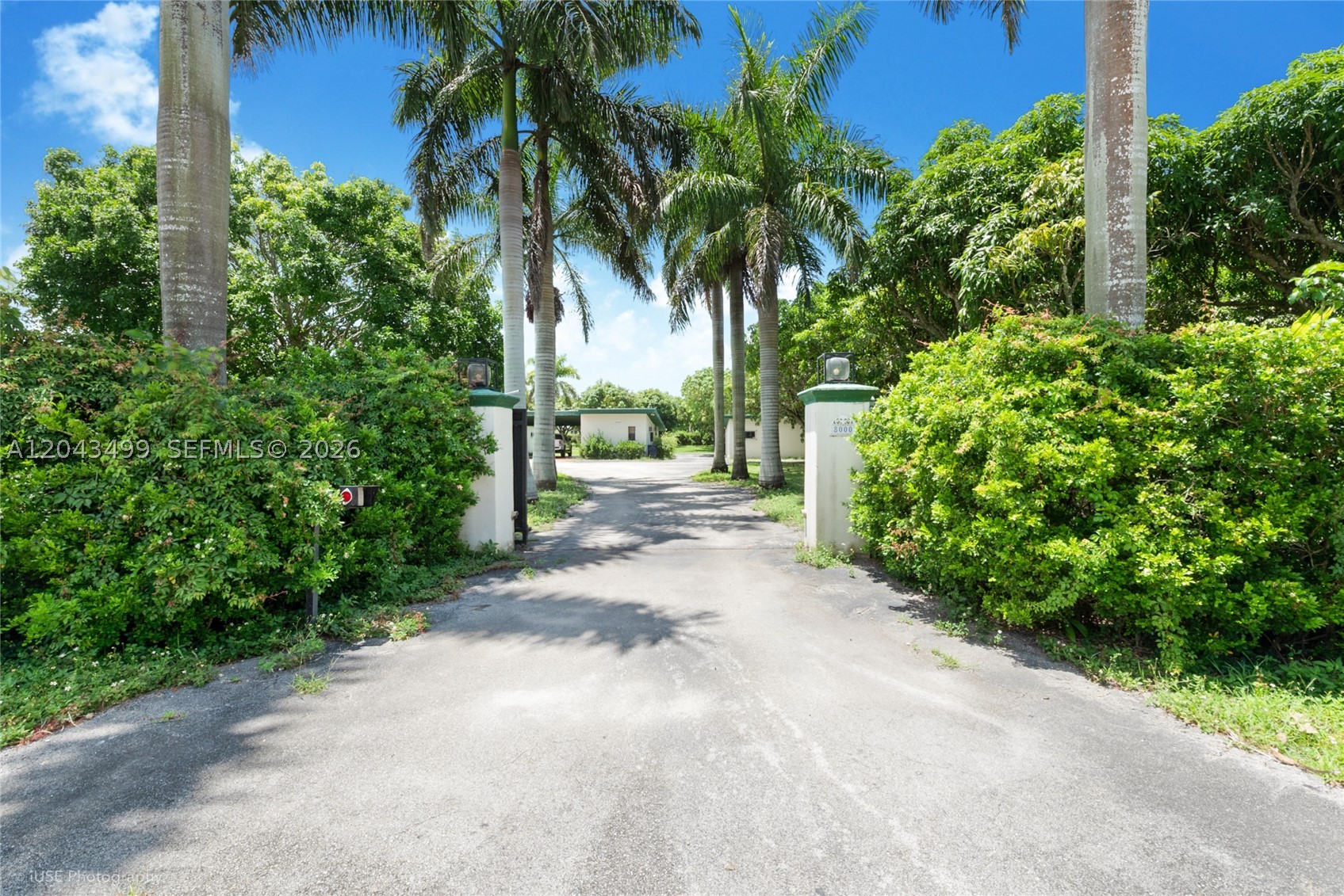 Cutler Bay photo 5