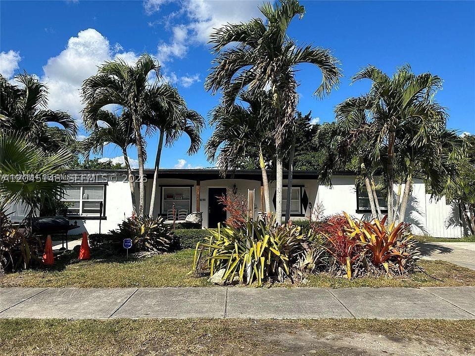 Miami photo 3