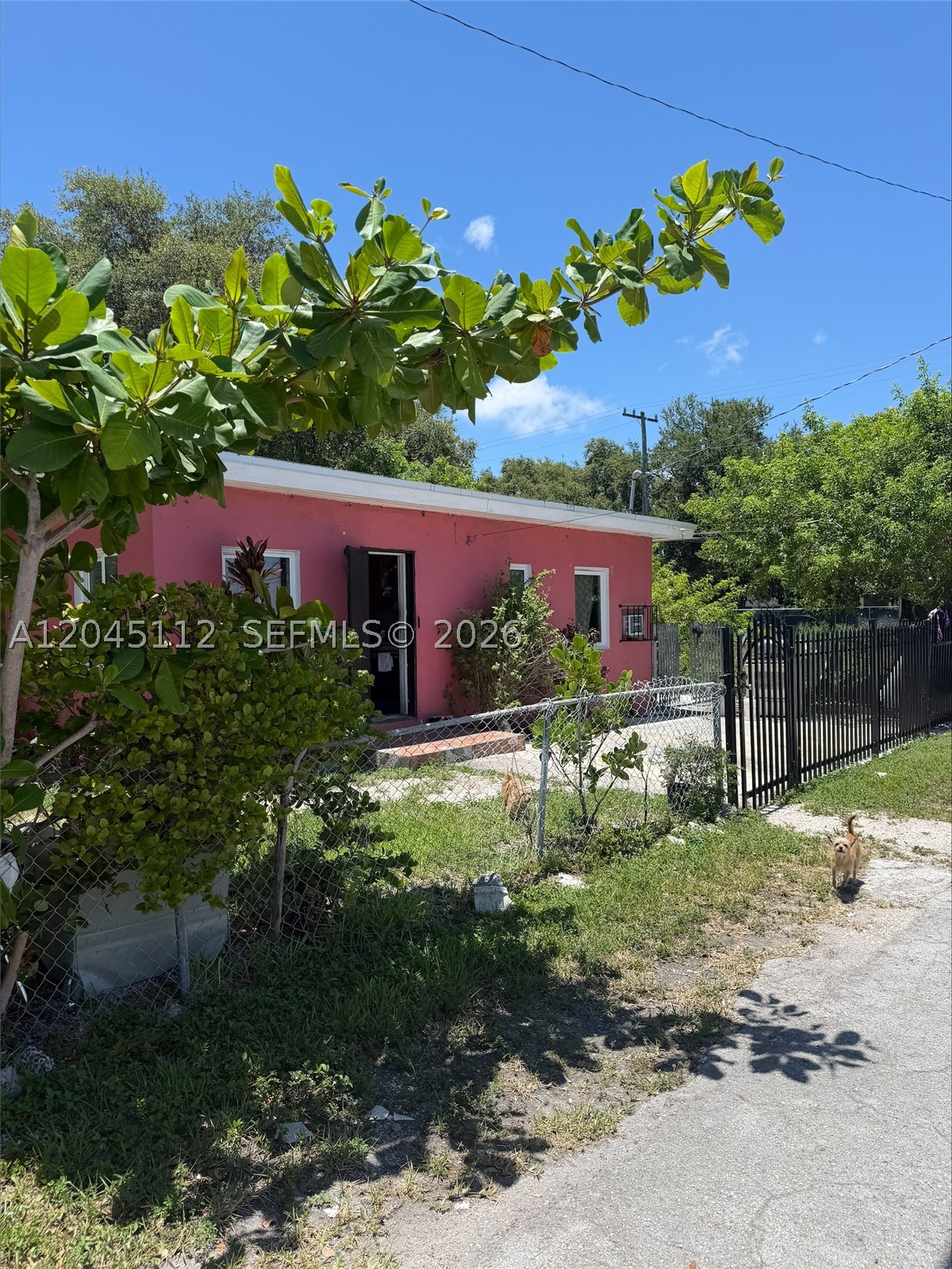 Miami photo 4