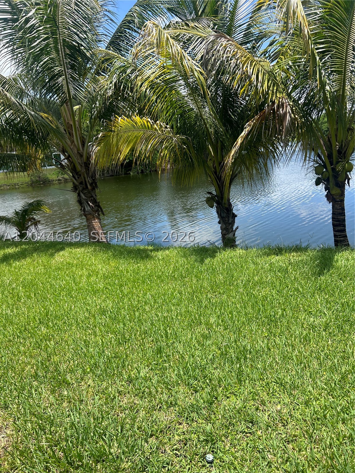 Miramar photo 5