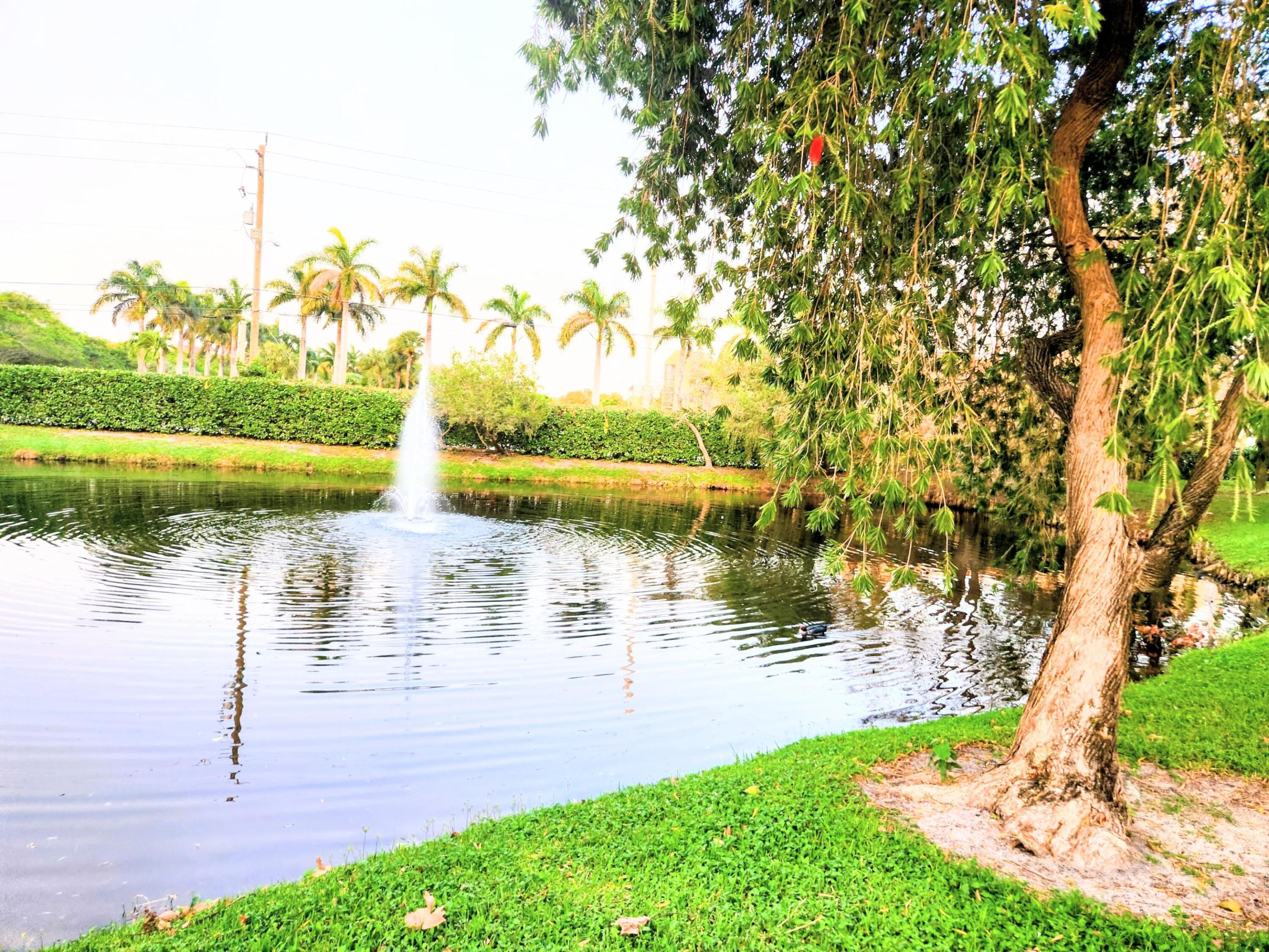 Delray Beach photo 5