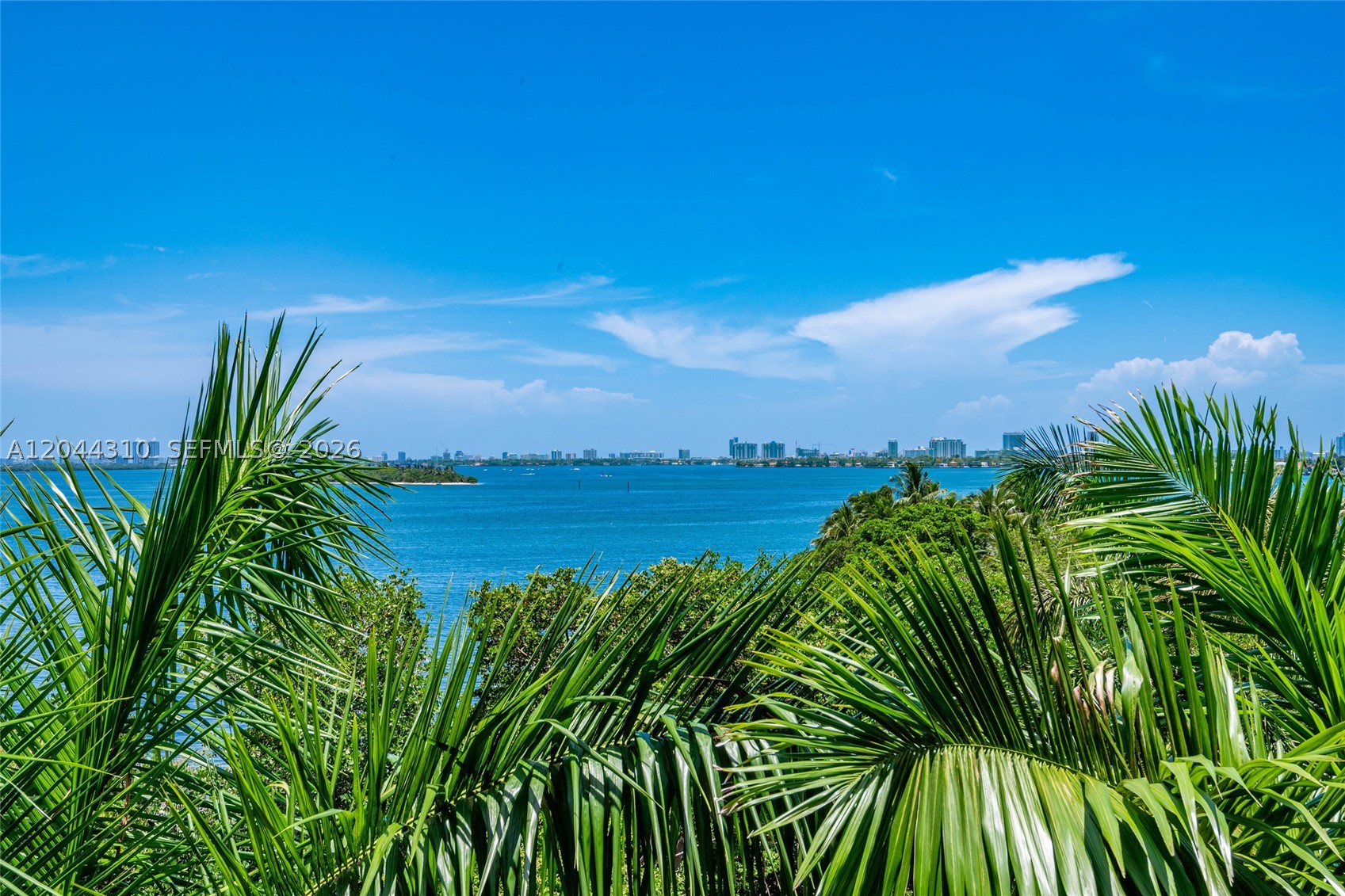 Miami photo 2