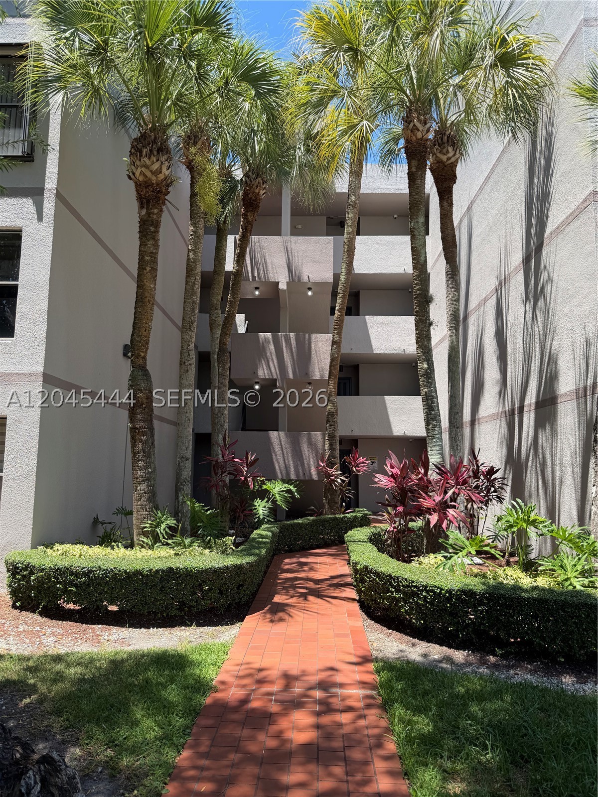 Miami photo 2