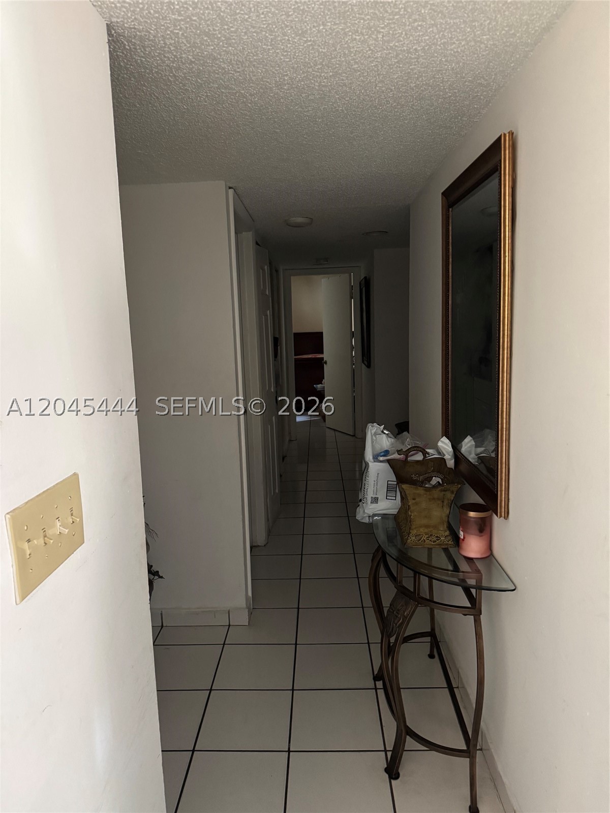 Miami photo 3