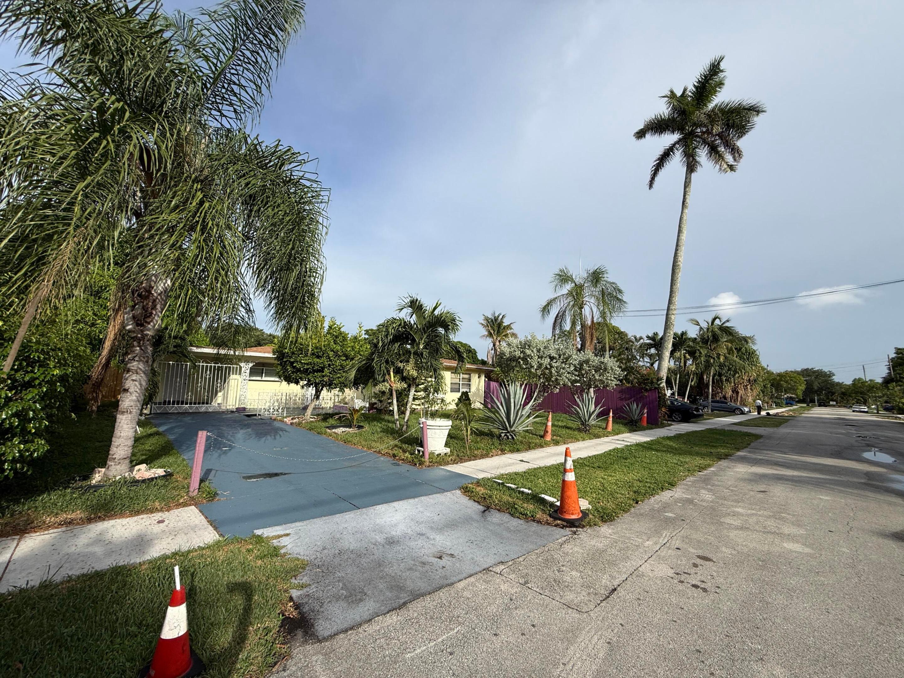 Plantation photo 4