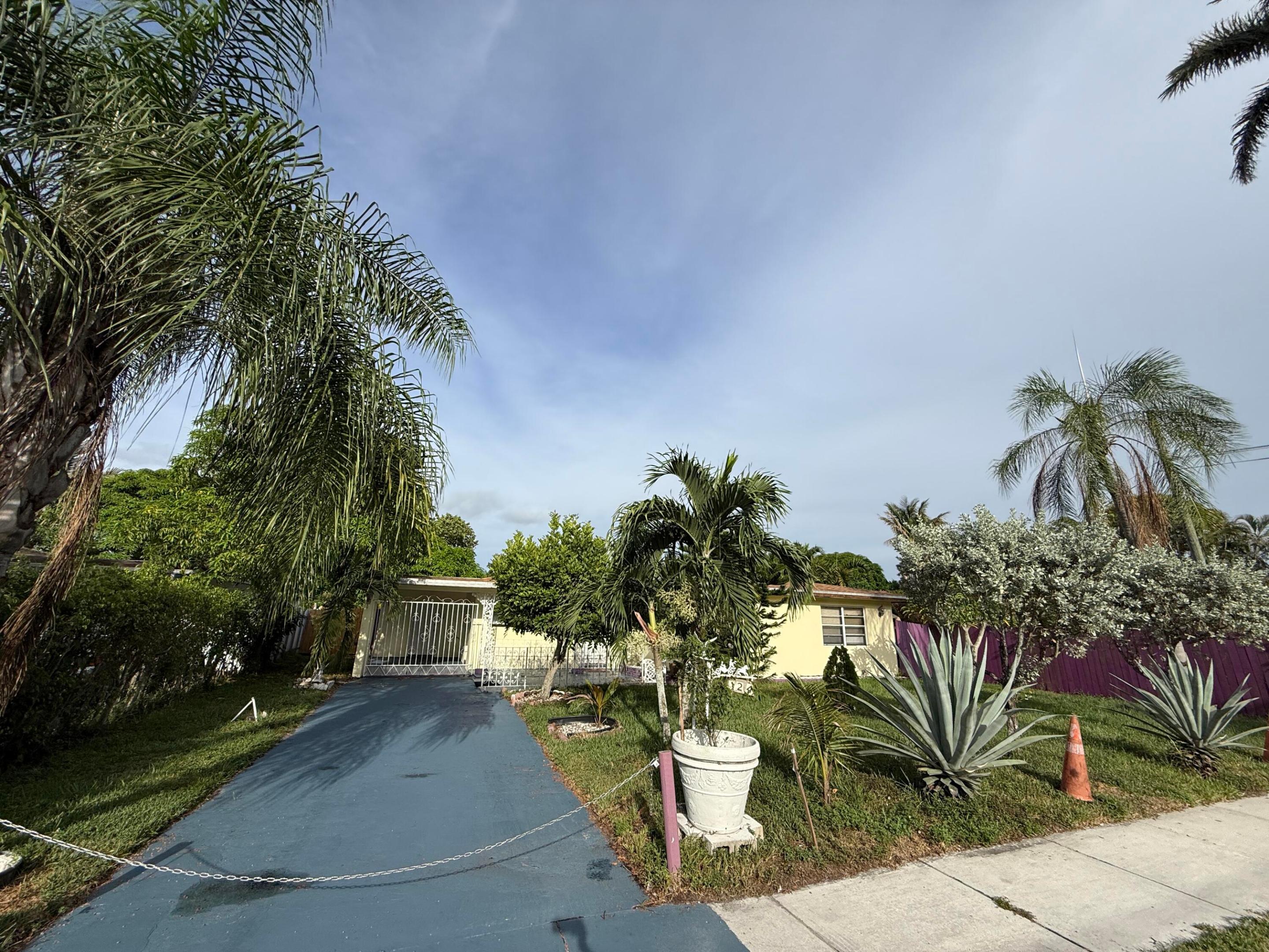 Plantation photo 5