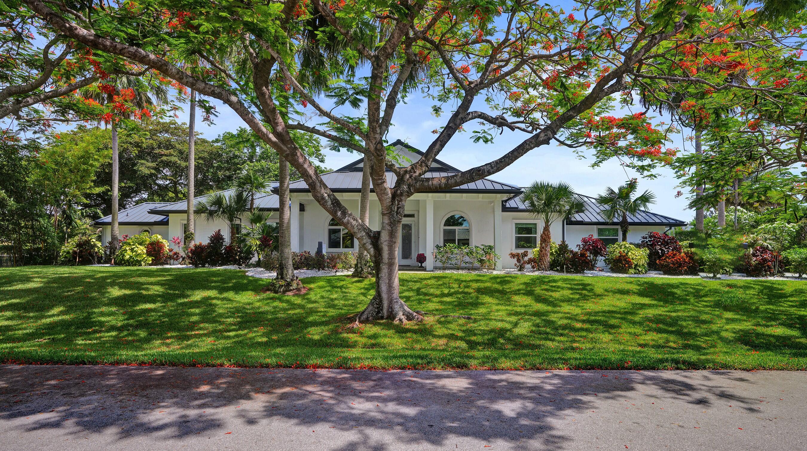 Plantation photo 4