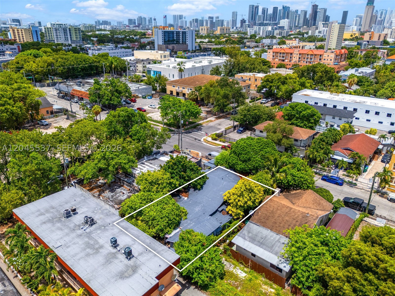 Miami photo 4