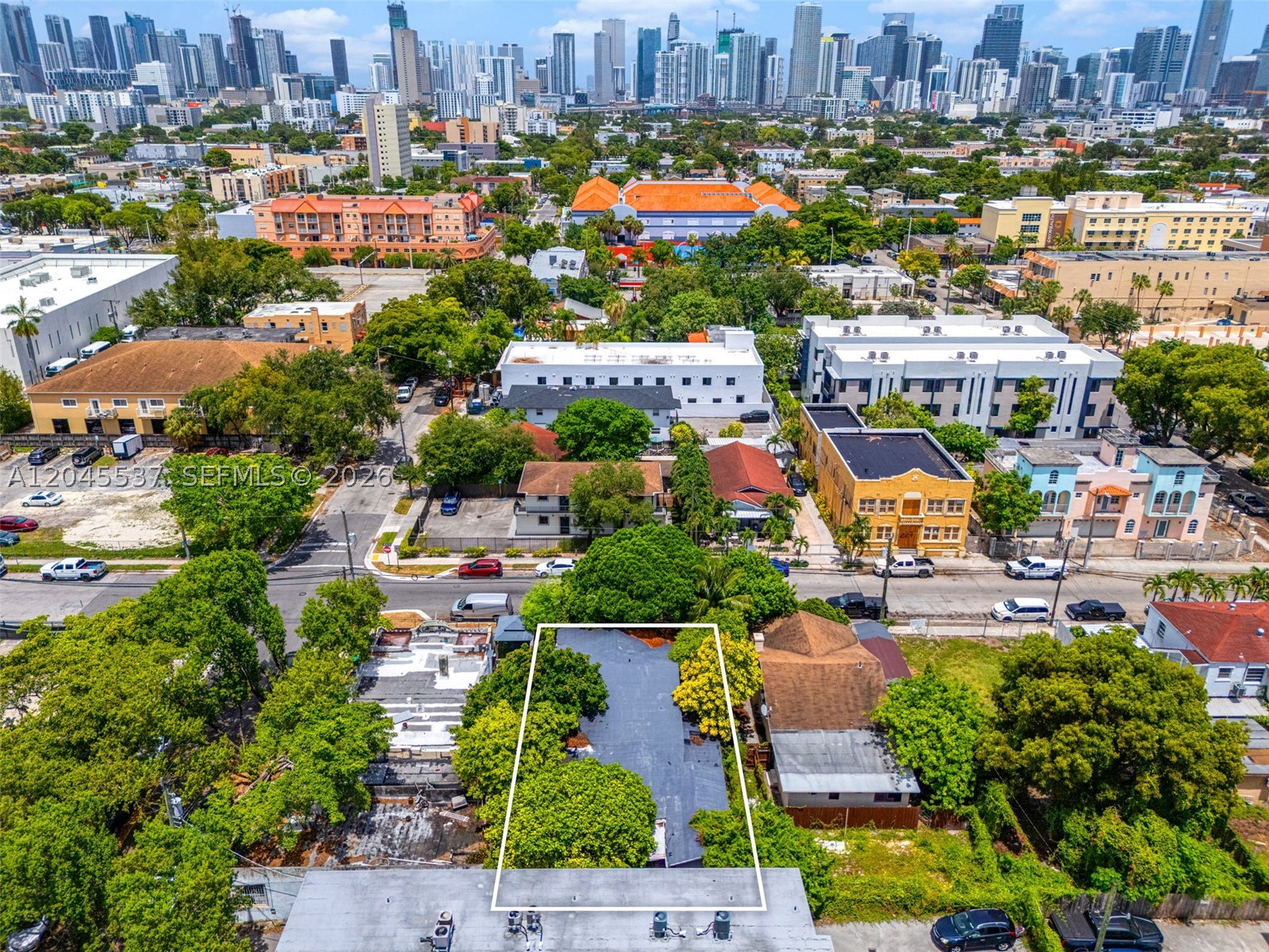 Miami photo 5