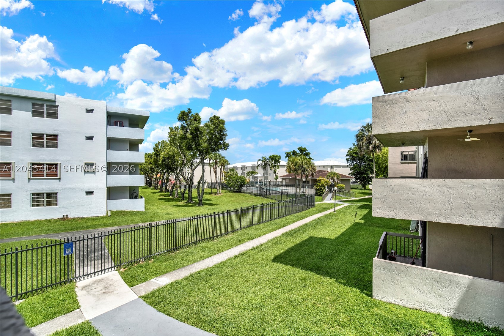 Miami photo 4