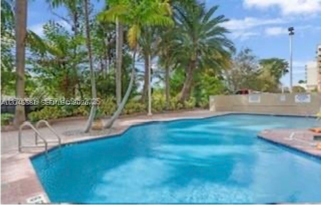Miami photo 3