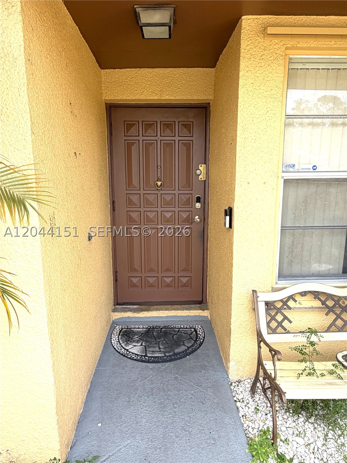 Miami photo 5