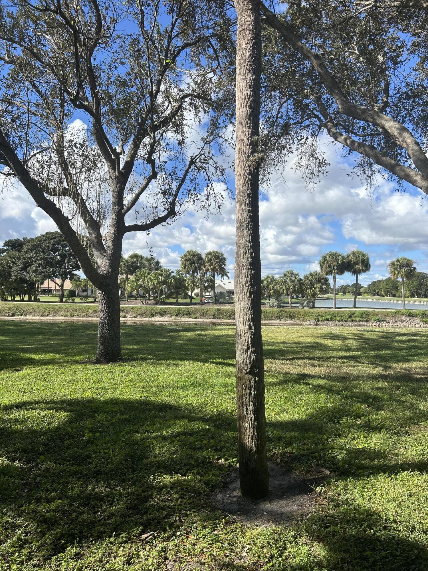 Delray Beach photo 4