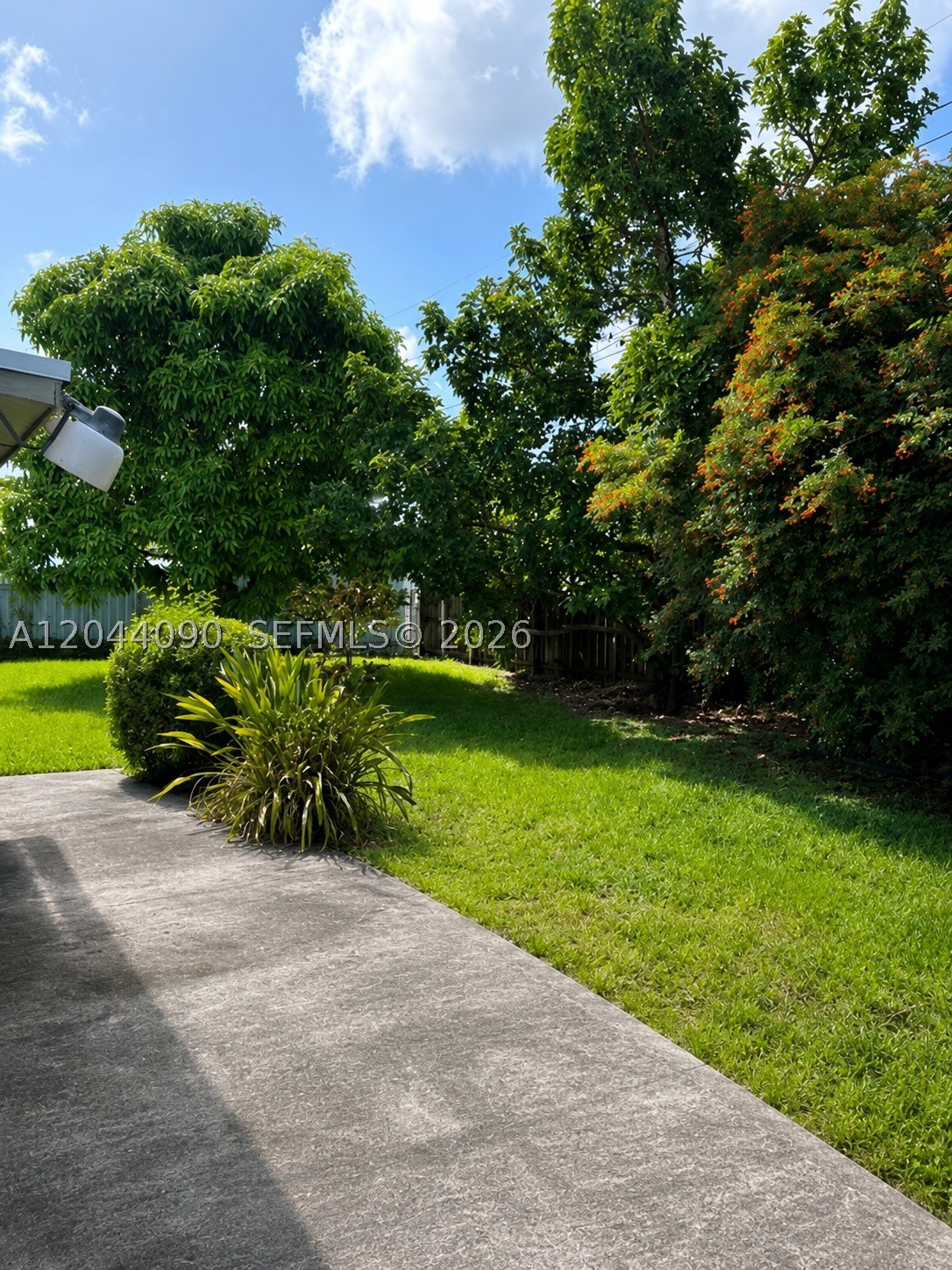 Miami photo 4