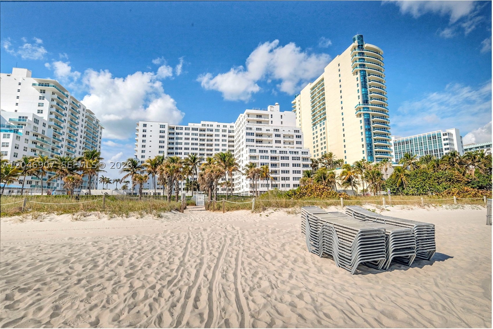 Miami Beach photo 4