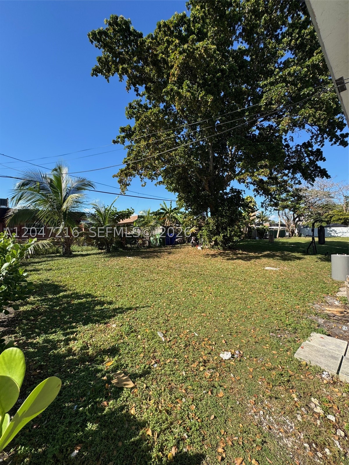 Fort Lauderdale photo 5