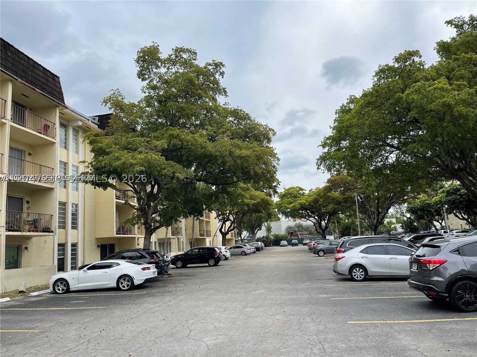 North Miami photo 1