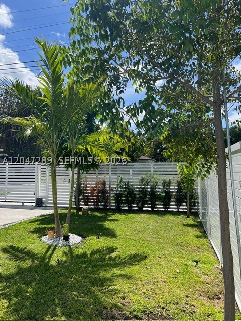 Miami photo 3