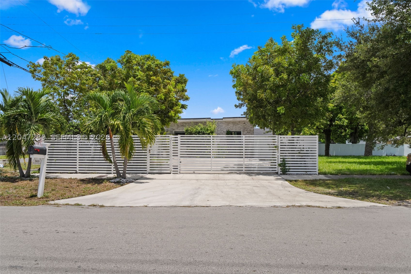 Miami photo 4