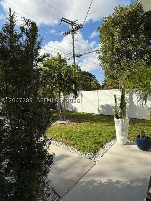 Miami photo 5