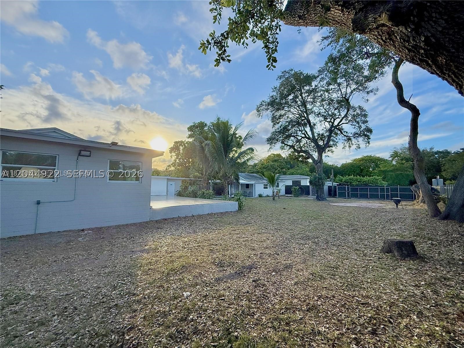 Miami photo 4