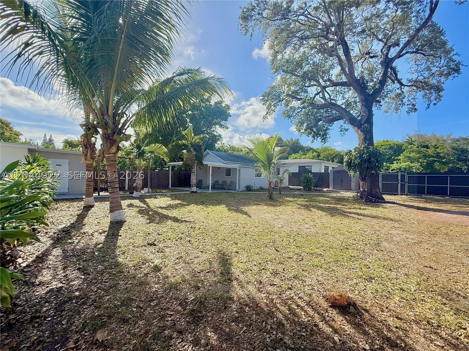 Miami photo 5